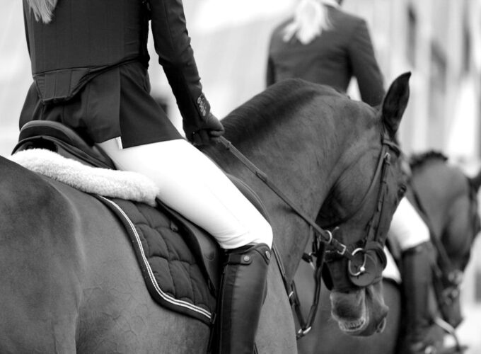 Equestrian rider mounted on a bridled horse in a fitted saddle