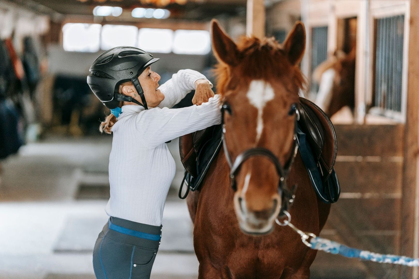 Rider in a helmet adjusts tack on a saddled horse indoors