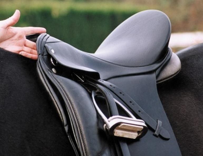 Close-up of a black English saddle with visible panel and girth straps